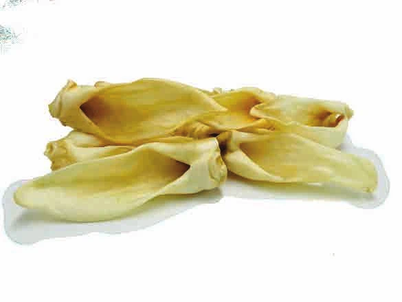 Ears product family